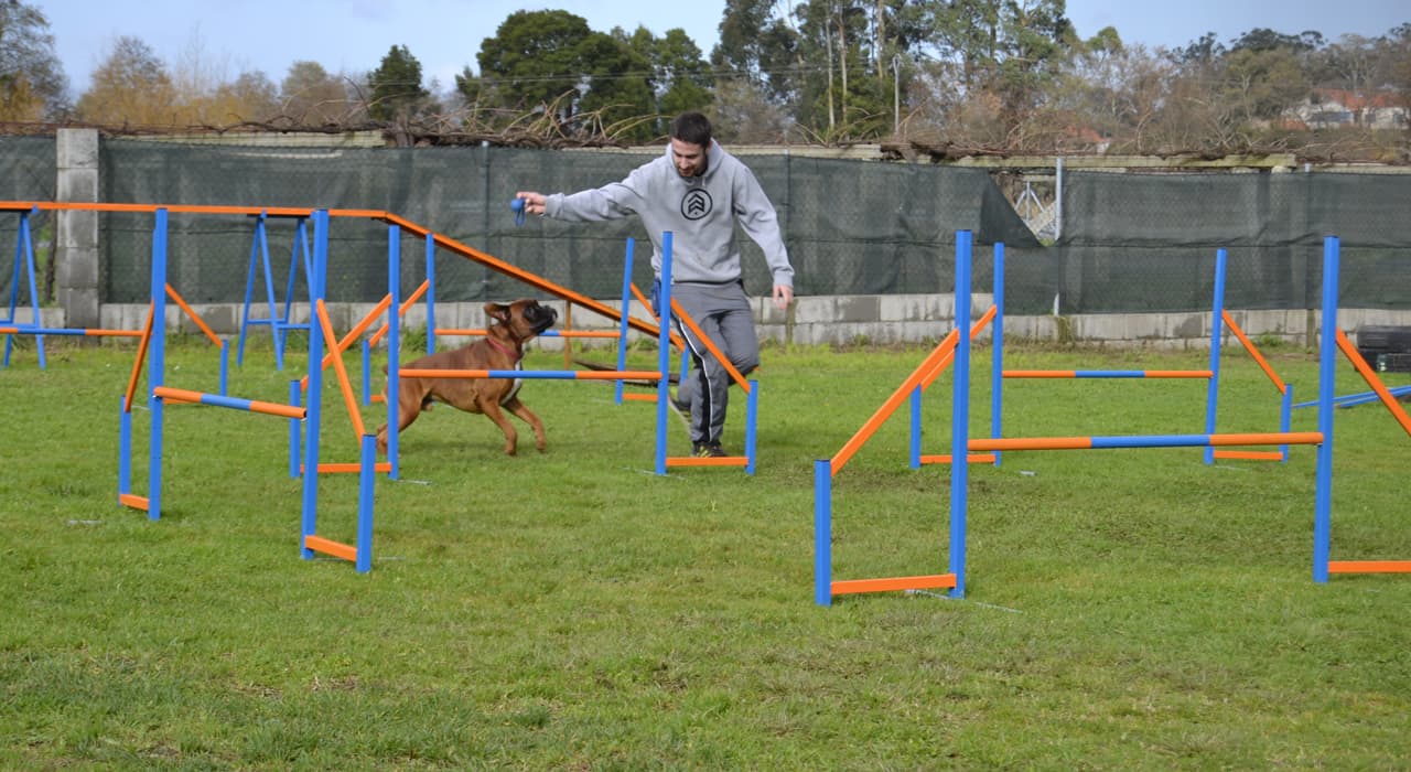 Unioncan, agility para perros en Pontevedra