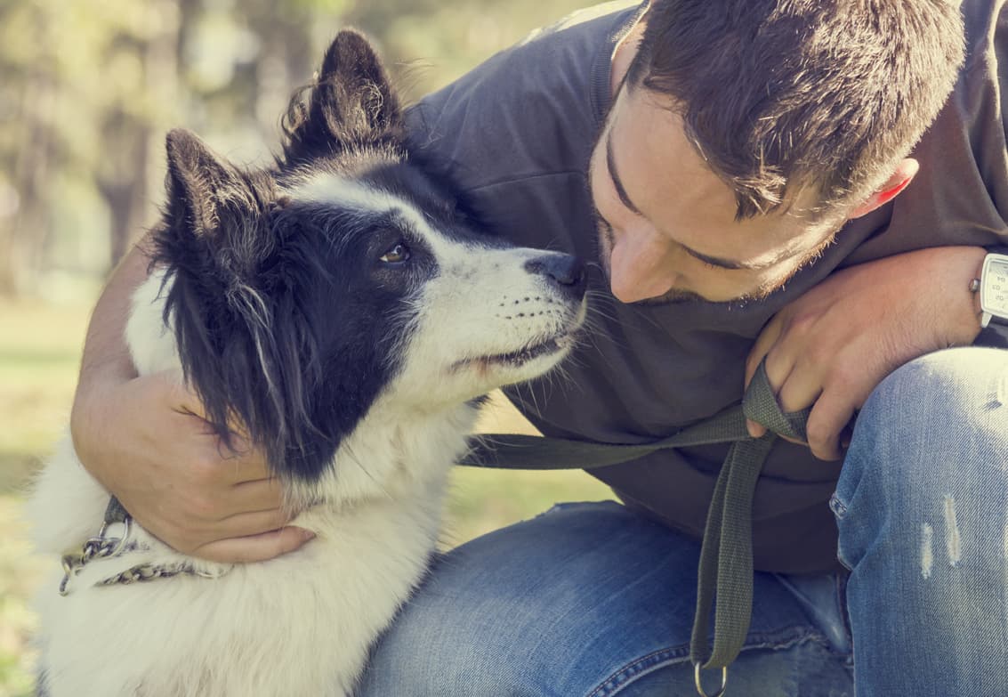 Expertos en adiestramiento canino en Pontevedra